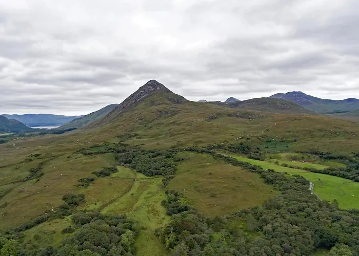 704 Апартаменты *